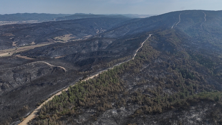 Çanakkale'de yangında zarar gören alanlar dronla görüntülendi