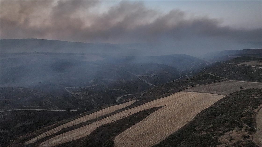 Çanakkale'nin Gelibolu ilçesindeki orman yangını kontrol altına alındı