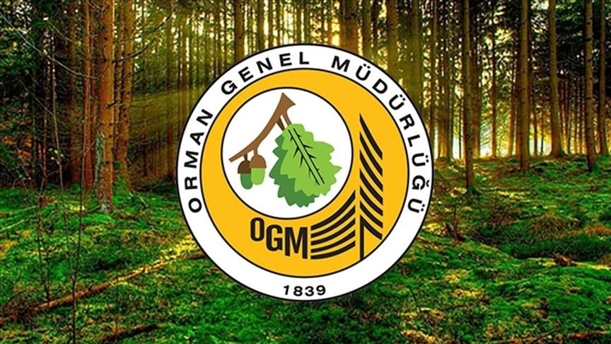 OGM 262 Daimi İşçi Alacak!