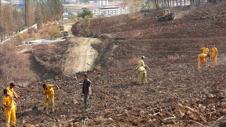 Hatay ve Kilis'te bir günde 44 bin 50 fidan toprakla buluşturulacak