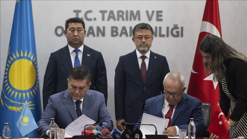 Türkler tarımda birleşiyor 