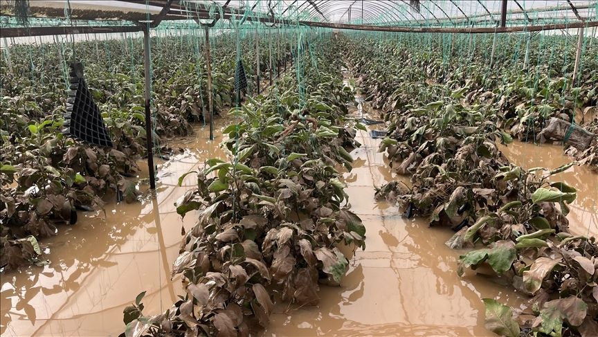 KUMLUCA’DA HASAR TESPİTİ