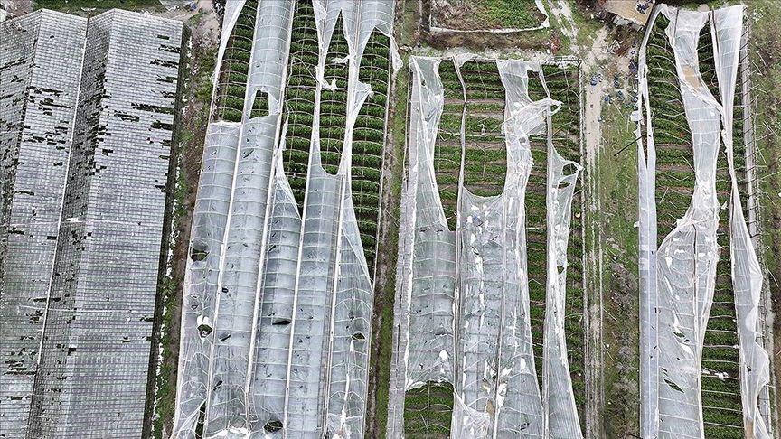 MUĞLA’DA HORTUM SONRASI HASAR TESPİTİ