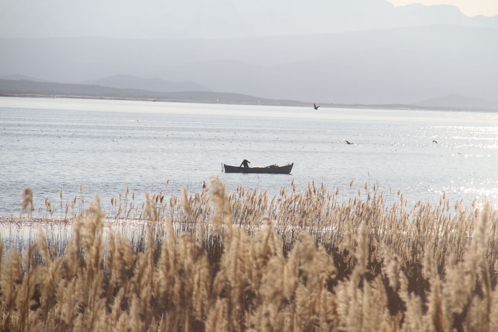 BEYŞEHİR'DE AV YASAĞI