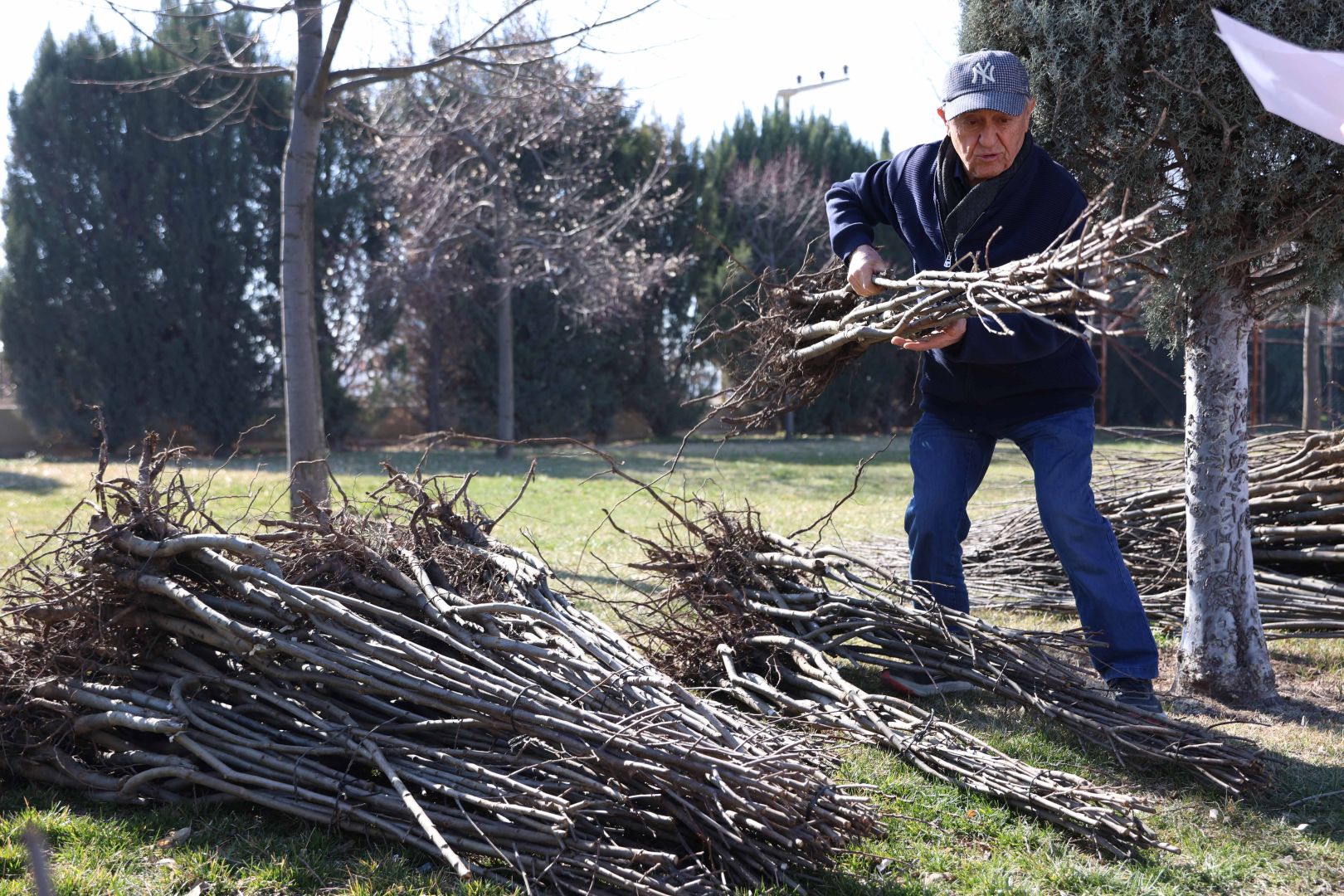 23 BİN 500 FİDAN ÇİFTÇİYE DAĞITILACAK