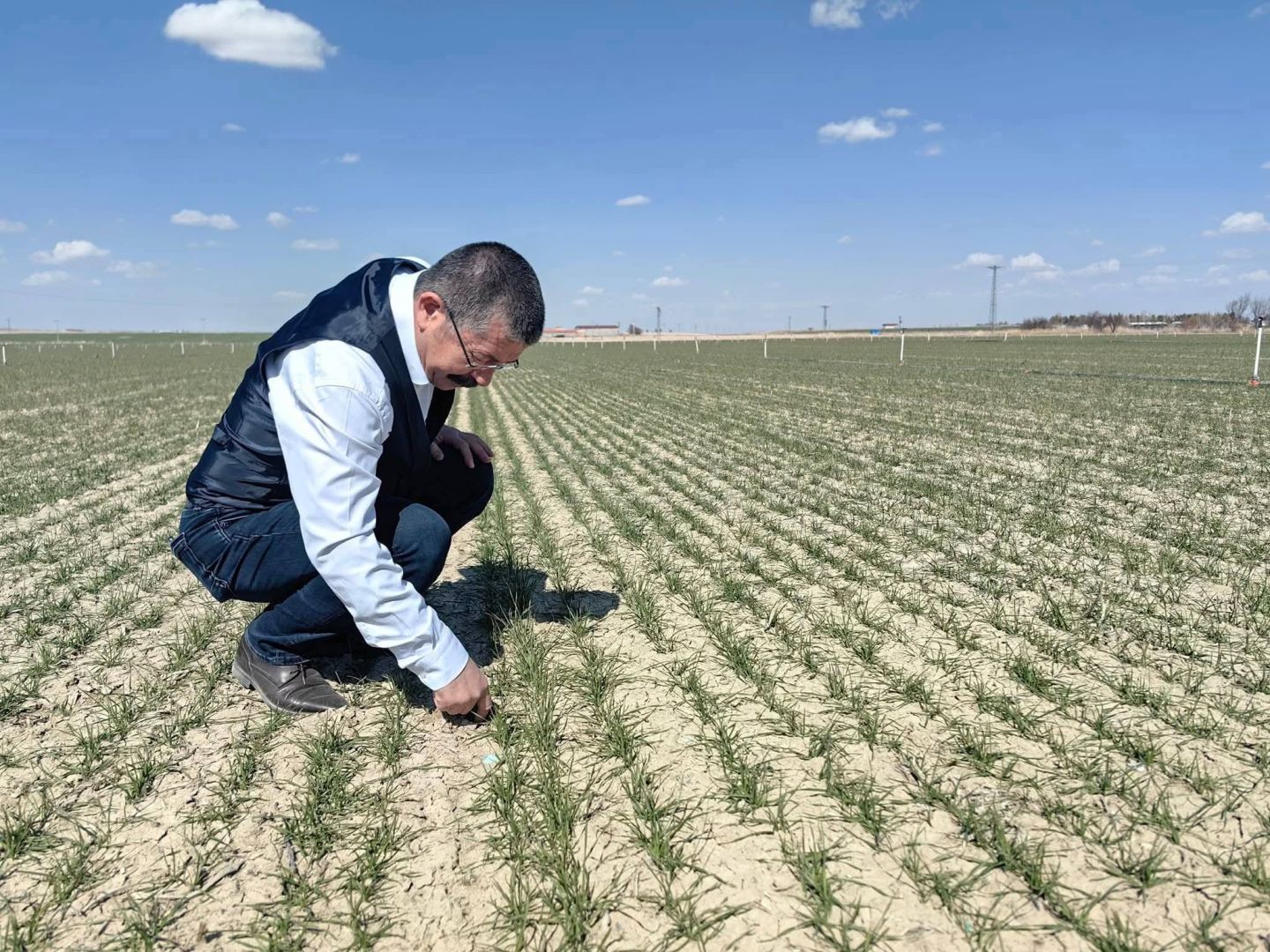 KARAPINAR’DA HUBUBATTA UMUTLU TABLO