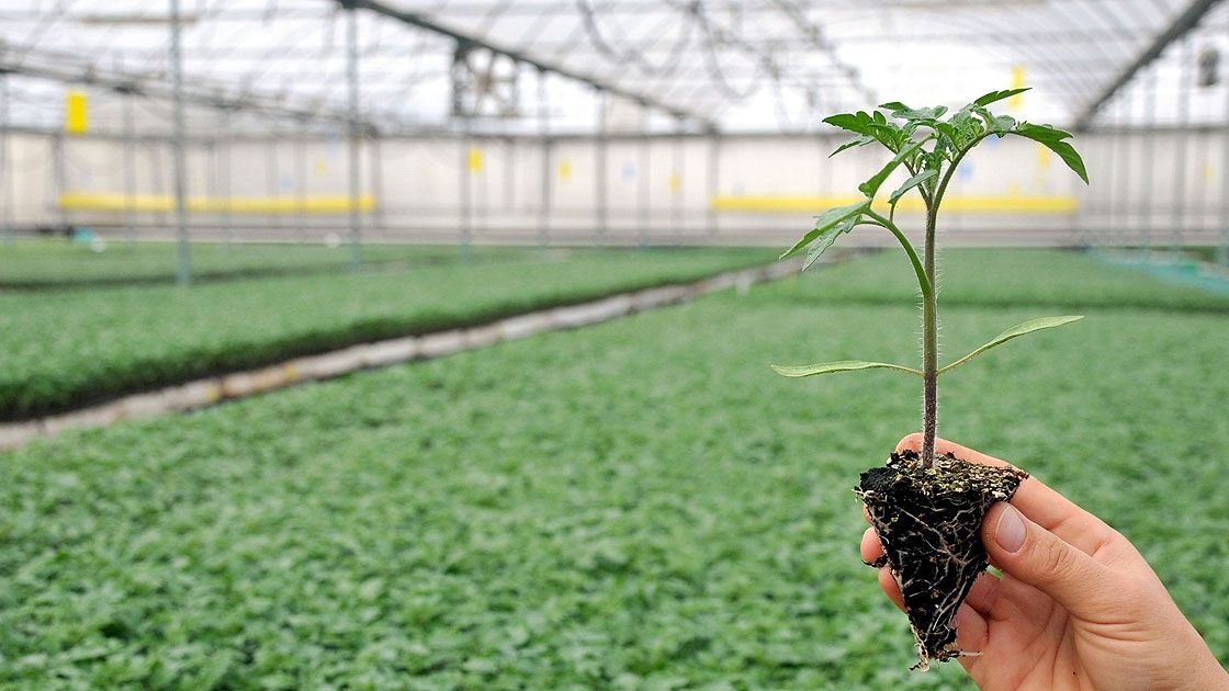 BOZKIR'DA SERA DESTEK BAŞVURULARI BAŞLADI