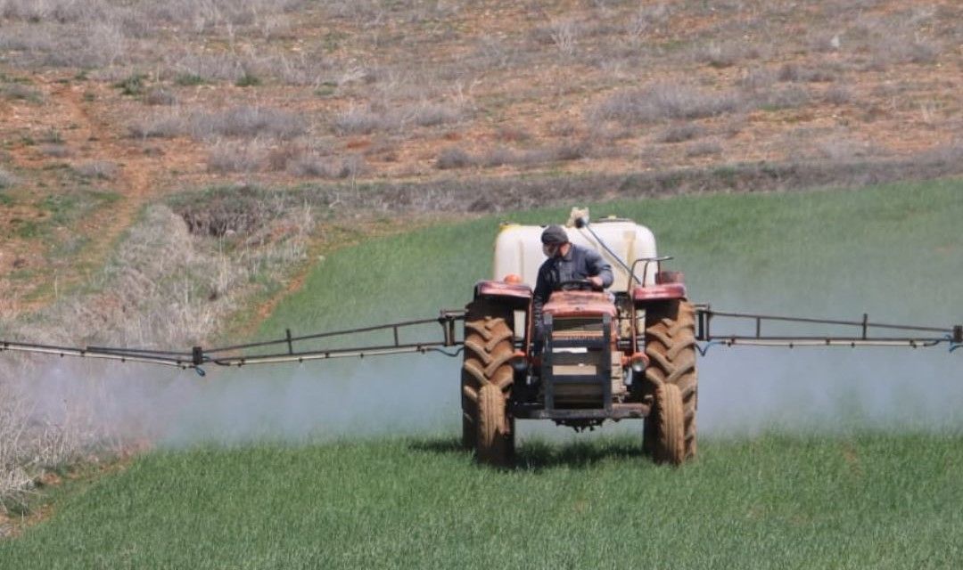 HUBUBATA STRES AŞISI