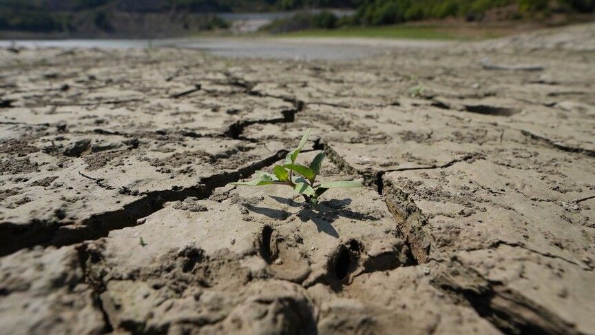 KURAKLIK TARIMI TEHDİT EDİYOR