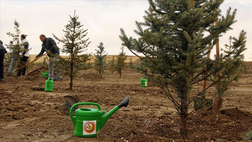 SEYDİŞEHİR’DE 1900 FİDAN TOPRAKLA BULUŞTU