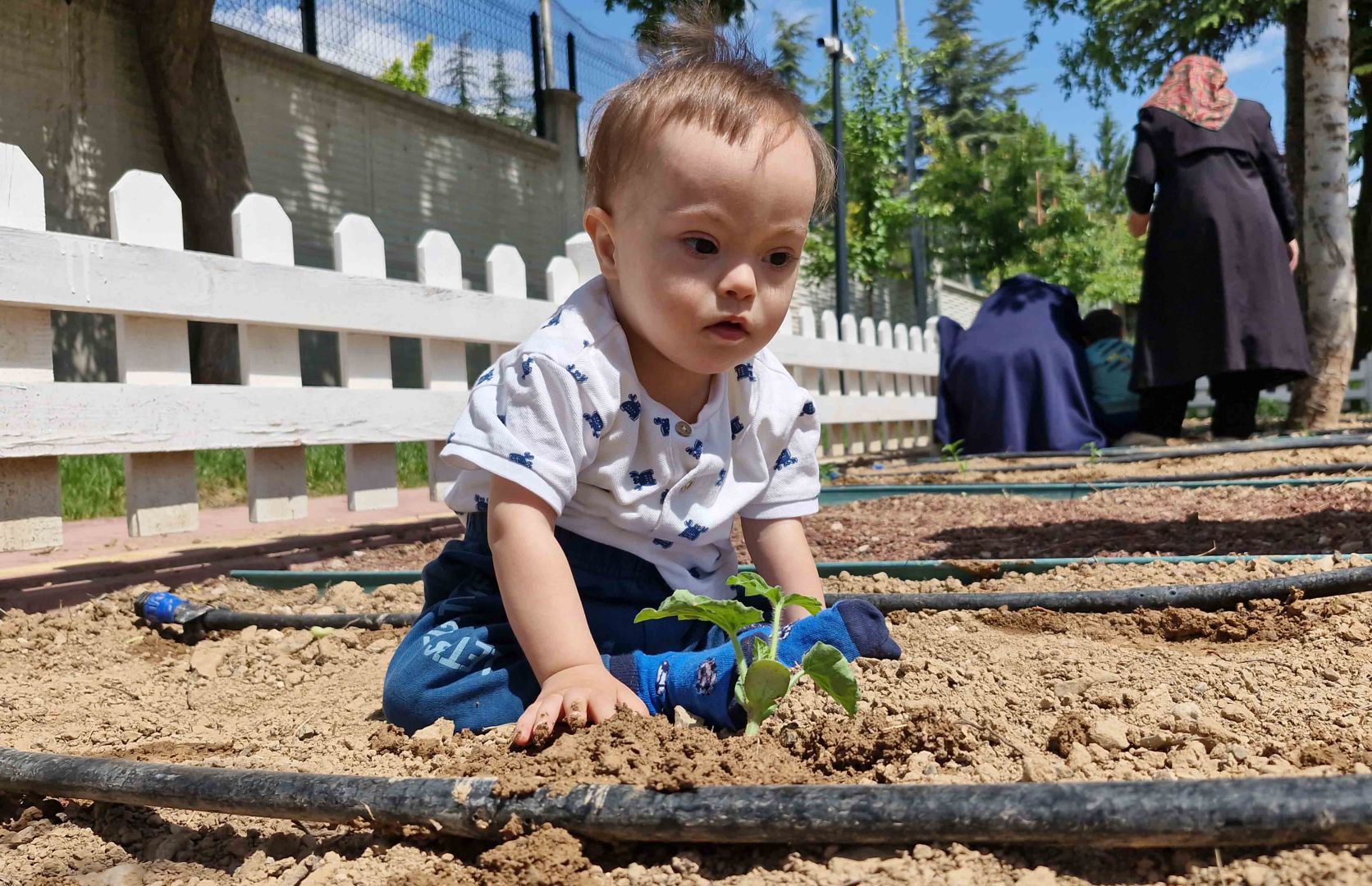 DOSD MERAM'IN BAHÇESİNE YENİ FİDANLAR DİKİLDİ