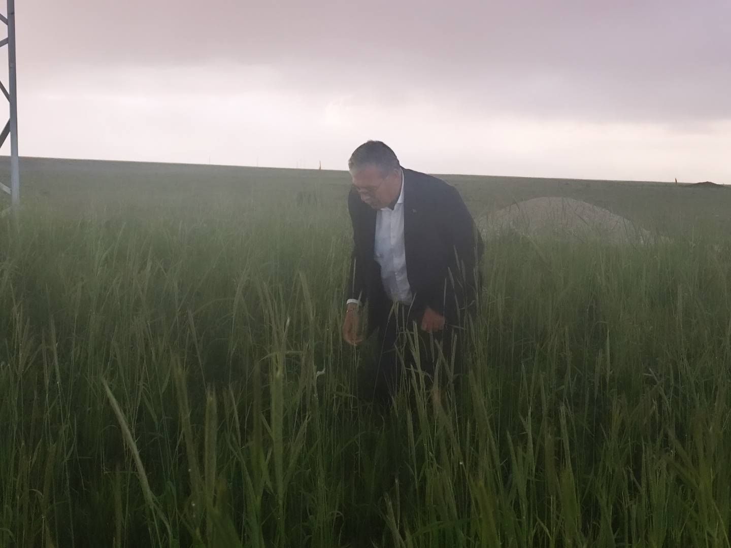 EMİRGAZİ’Yİ DOLU VURDU, BAŞKAN KONTROLE ÇIKTI