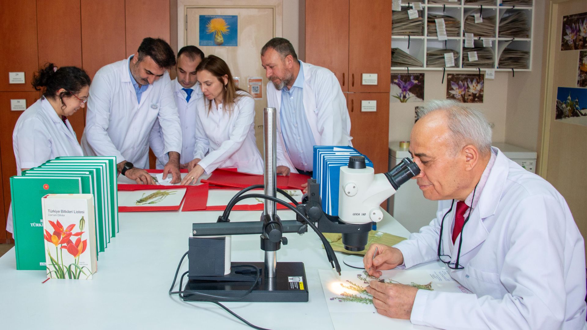 SELÇUK ÜNİVERSİTESİ TOROSLAR’DA 4 YENİ BİTKİ TÜRÜ KEŞFETTİ
