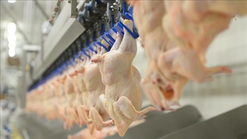 BEYAZ ET SEKTÖRÜNDE SORUŞTURMA: 13 ŞİRKETE KAYYUM ATANDI 