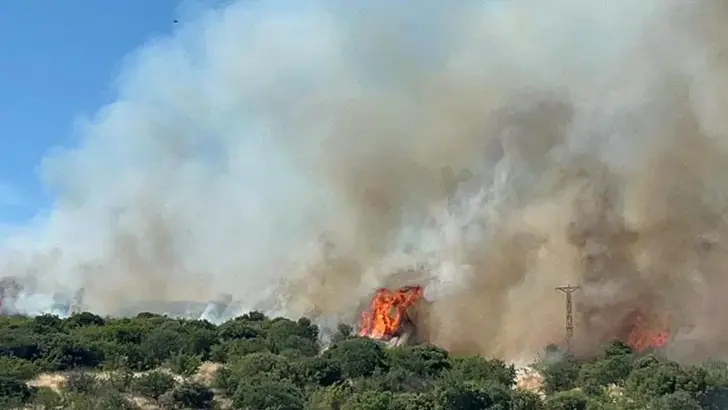ÇANAKKALE'DE ORMAN YANGINI