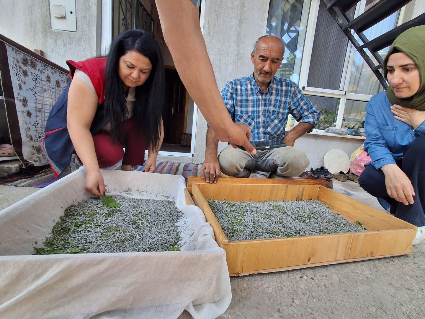 KONYA'DA İPEK BÖCEĞİ PROJESİNDE SON AŞAMAYA GELİNDİ